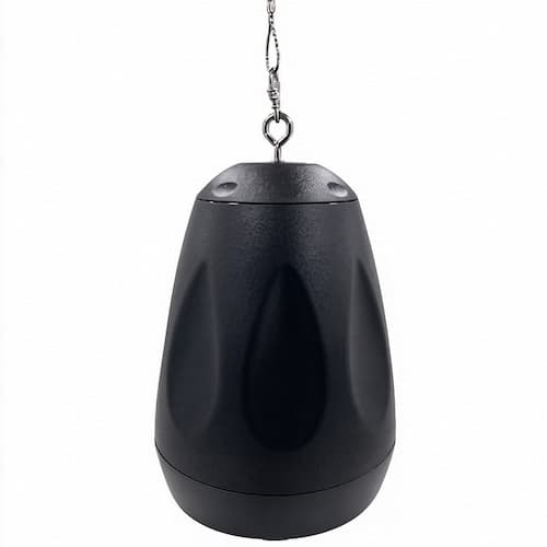 Pendant Speaker