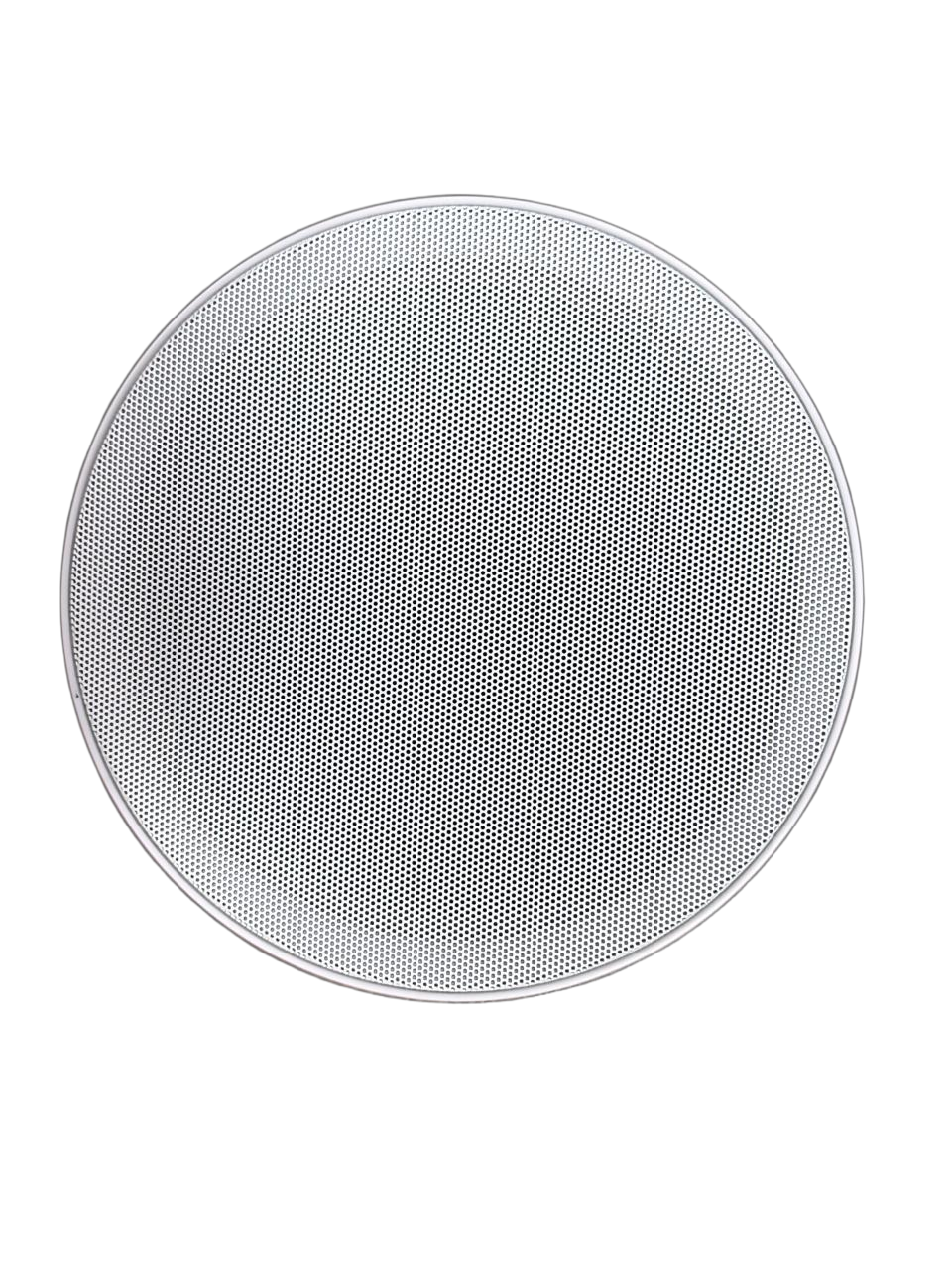 6.5-inch ceiling speaker